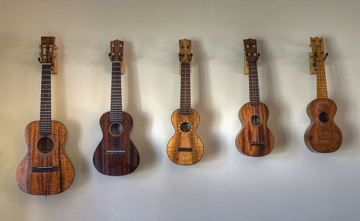 comment choisir son ukulele